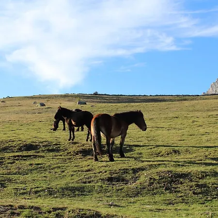 Del Huerna * Ríospaso