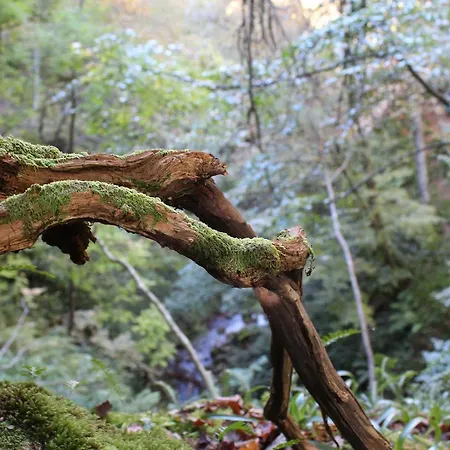 Konukevi Del Huerna *