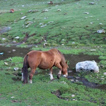 Πανσιόν Del Huerna *